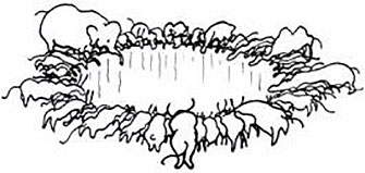water hole