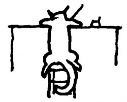 cat writing