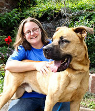 Training stray dogs