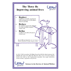 The Three Rs Tea-towel